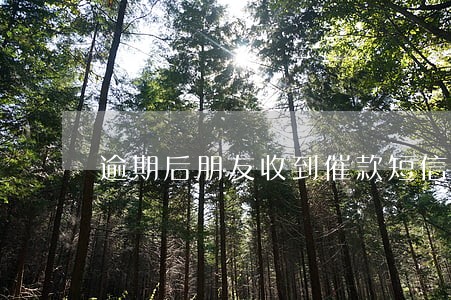 逾期后朋友收到催款短信 逾期后朋友收到催款短信