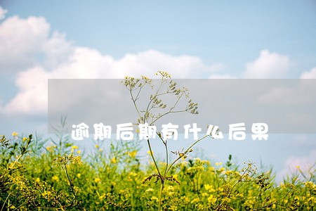 逾期后期有什么后果 逾期后期有什么后果