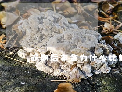 逾期后本金为什么比额度大 逾期后本金为什么比额度大