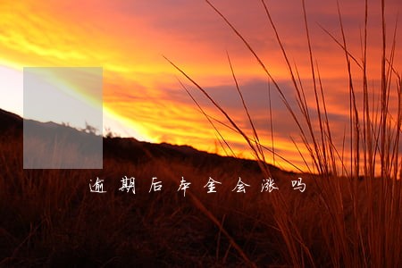 逾期后本金会涨吗 逾期后本金会涨吗