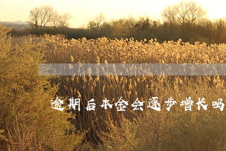 逾期后本金会逐步增长吗 逾期后本金会逐步增长吗