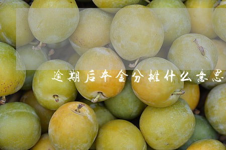 逾期后本金分摊什么意思 逾期后本金分摊什么意思