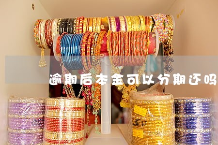 逾期后本金可以分期还吗 逾期后本金可以分期还吗