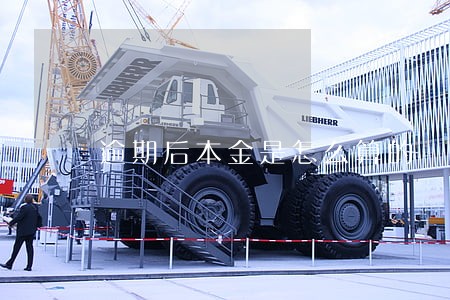 逾期后本金是怎么算的 逾期后本金是怎么算的
