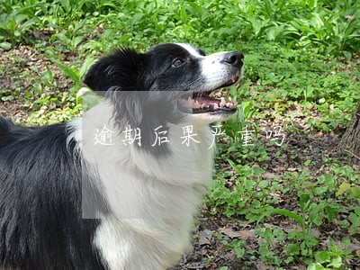 逾期后果严重吗 逾期后果严重吗
