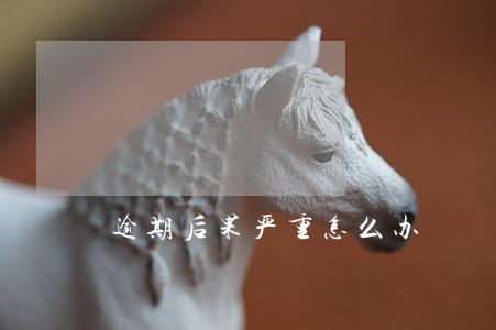 逾期后果严重怎么办 逾期后果严重怎么办