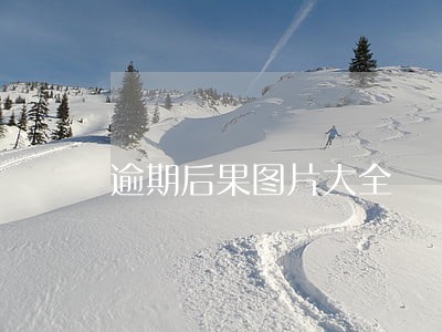 逾期后果图片大全 逾期后果图片大全