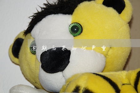 逾期后果如何严重 逾期后果如何严重