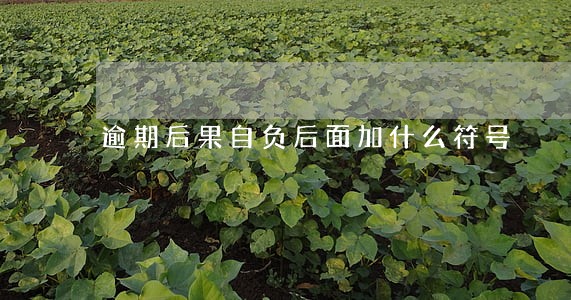 逾期后果自负后面加什么符号 逾期后果自负后面加什么符号