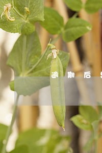 逾期后果自负的意思 逾期后果自负的意思
