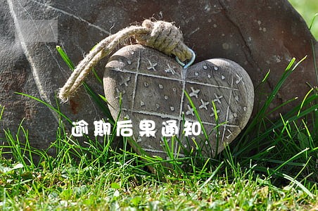 逾期后果通知 逾期后果通知