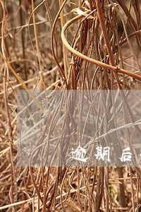 逾期后核实家人资料 逾期后核实家人资料