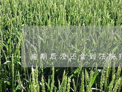 逾期后没还会到法院打官司 逾期后没还会到法院打官司