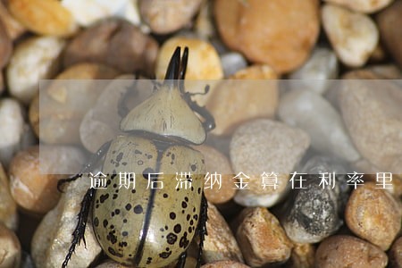 逾期后滞纳金算在利率里吗 逾期后滞纳金算在利率里吗