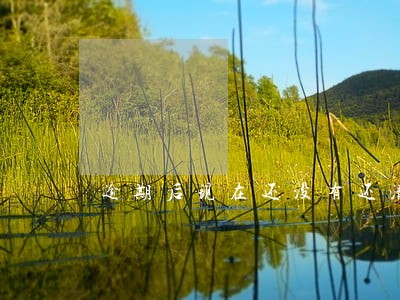 逾期后现在还没有还清 逾期后现在还没有还清