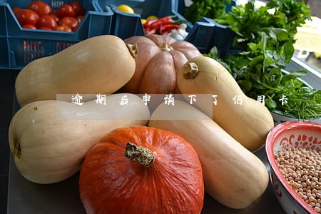 逾期后申请下了信用卡