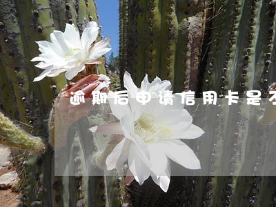 逾期后申请信用卡是不是申请不了 逾期后申请信用卡是不是申请不了