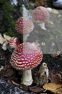 逾期后申请减免 逾期后申请减免