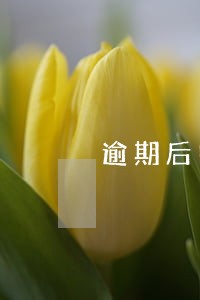 逾期后申请房贷