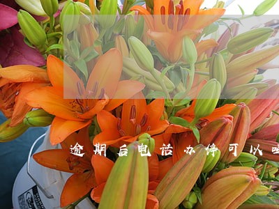 逾期后电话办停可以吗 逾期后电话办停可以吗