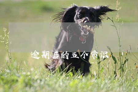 逾期后的五个常识 逾期后的五个常识