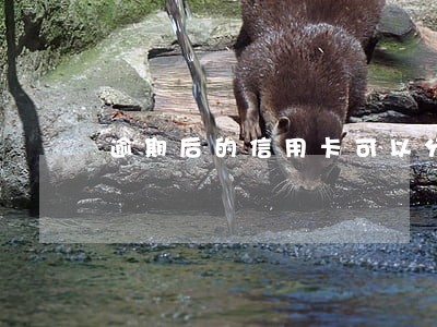 逾期后的信用卡可以分多少期