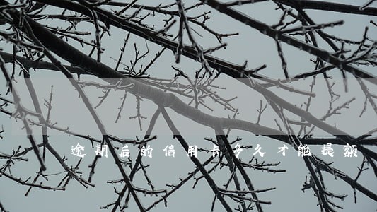 逾期后的信用卡多久才能提额
