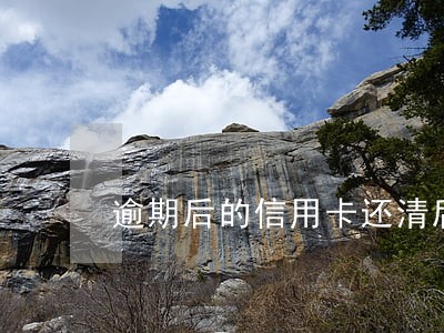 逾期后的信用卡还清后冻结了