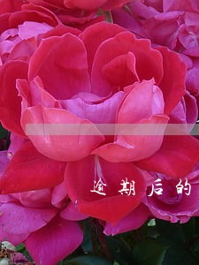 逾期后的债务重组方式 逾期后的债务重组方式