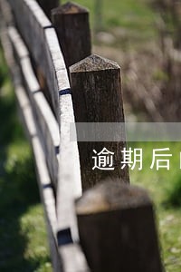 逾期后的催收 逾期后的催收