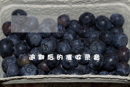 逾期后的催收录音 逾期后的催收录音