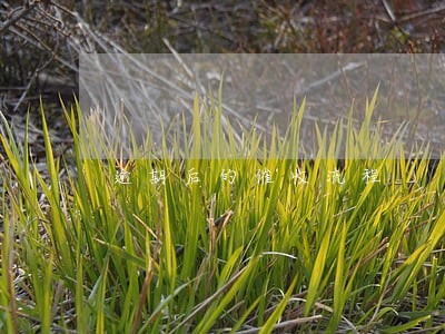 逾期后的催收流程 逾期后的催收流程