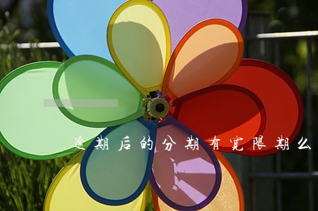 逾期后的分期有宽限期么 逾期后的分期有宽限期么