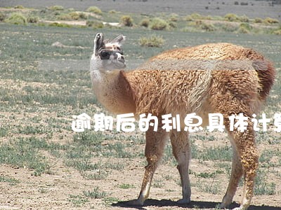 逾期后的利息具体计算 逾期后的利息具体计算
