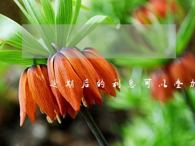 逾期后的利息可以叠加吗 逾期后的利息可以叠加吗