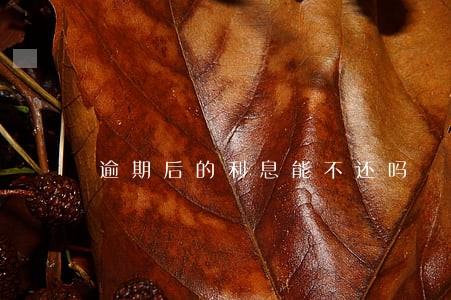 逾期后的利息能不还吗 逾期后的利息能不还吗