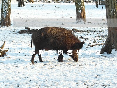 逾期后的合法权益 逾期后的合法权益