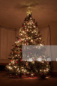 逾期后的处理流程 逾期后的处理流程