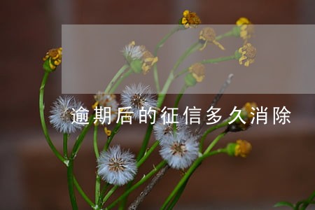 逾期后的征信多久消除 逾期后的征信多久消除