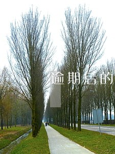 逾期后的暴力催收 逾期后的暴力催收