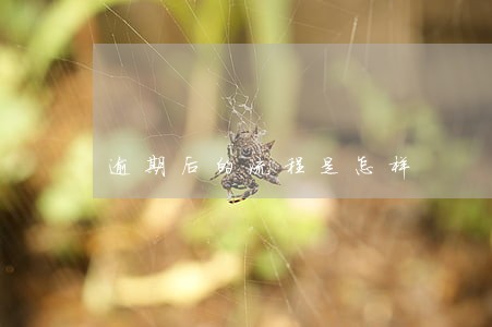 逾期后的流程是怎样 逾期后的流程是怎样