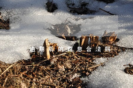 逾期后的罚息合法吗 逾期后的罚息合法吗