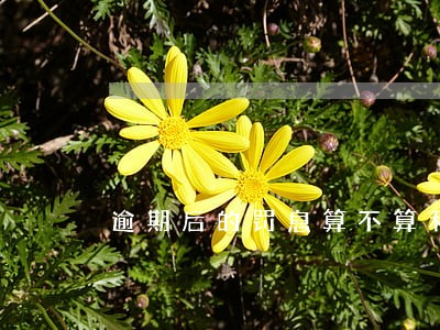 逾期后的罚息算不算利息 逾期后的罚息算不算利息