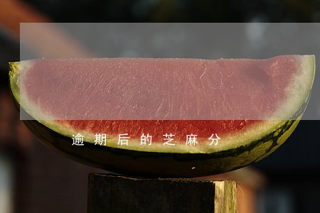 逾期后的芝麻分 逾期后的芝麻分