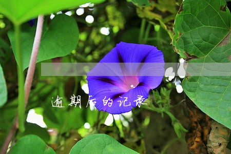 逾期后的记录 逾期后的记录