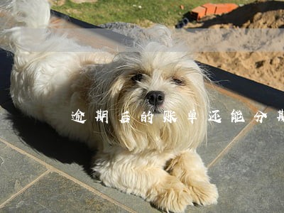 逾期后的账单还能分期 逾期后的账单还能分期