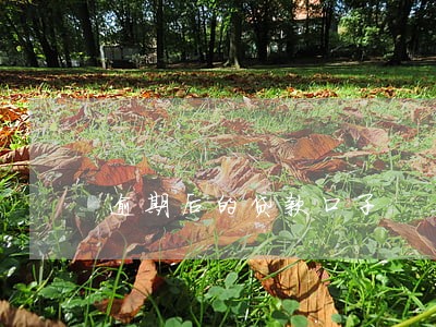 逾期后的贷款口子 逾期后的贷款口子