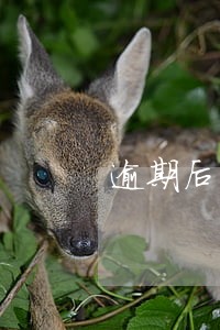 逾期后的费用 逾期后的费用