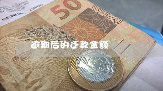 逾期后的还款金额 逾期后的还款金额