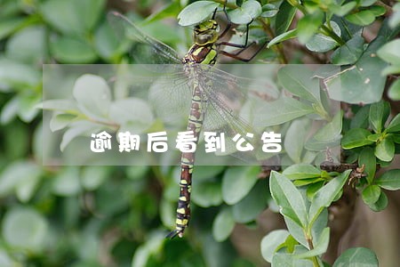 逾期后看到公告 逾期后看到公告